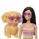 Barbie: Kutyasétáltó Görkoris Szett - Barna baba - . kép