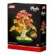 Cărămidă de construcție bonsai de arțar - .foto