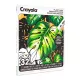 Crayola: Carte de colorat pentru adulți – Iubitorii de plante - .foto