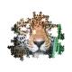 Puzzle Clementoni Jaguar în junglă, 500 piese - .foto