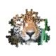 Clementoni Puzzle Jaguár a dzsungelben, 500 db - . kép