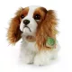 Cavalier King Charles spaniel de pluș 25 cm - .foto