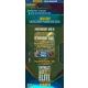 Panini FIFA 365 ADRENALYN XL 2027 Blister Oro Premium - .immagine