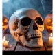 Decorațiune craniu cu mandibulă mobilă – 12 cm - .foto