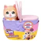 Little Live Pets: Kitty – animăluț interactiv - .foto