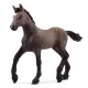Schleich: 13954 mânz Paso Peruano - .foto