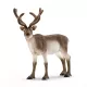 Schleich: 14837 Ren 
 - .foto