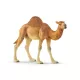 Schleich: 14832 Dromedar - .foto