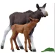 Schleich: 42629 Elan cu vițel - .foto