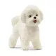 Schleich: 13963 Bichon Frise Kutya - . kép