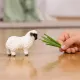 Schleich: 13965 Oaie Neagră cu Nas din Țara Galilor - .foto