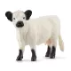 Schleich: 13960 Galloway Boci - . kép