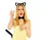 Set kattenaccessoires – universele maat - .afbeelding
