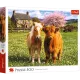 Trefl: A farm lakói - 500 darabos puzzle - . kép