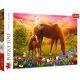 Trefl: Konie na łące – puzzle 500 elementów - .zdjęcie 