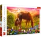 Trefl: Lovak a réten - 500 darabos puzzle - . kép