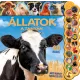 20 de sunete – Animale la fermă - .foto