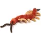 Plüss Százlábú 25cm - . kép