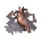 Clementoni: Vadló puzzle - 500 db-os - . kép