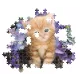 Clementoni: Pisicuță roșcată puzzle - 500 piese - .foto