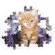 Clementoni: Vörös kiscica puzzle - 500 db-os - . kép
