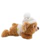 Nici: Capiccino, der Plüschbär – 25 cm, liegend - . bild aus